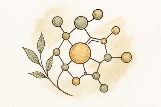 Mit jelent a huminsav kelátképző tulajdonsága kutyák szempontjából?
