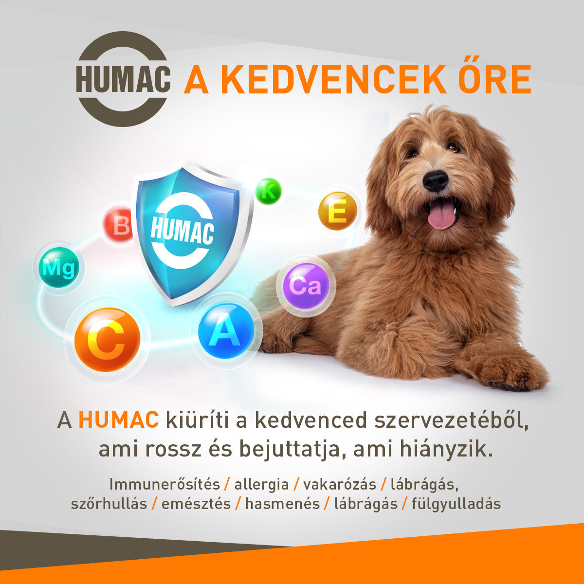 HUMAC® MARINE ízület‑ és bőrrevitalizáló tabletta – 100 % természetes erő
